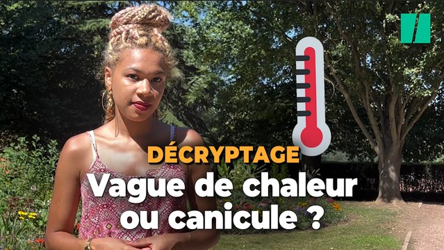 Canicule ou vague de chaleur, comment faire la différence ?