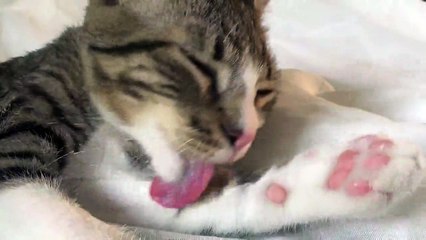 This Is Why My Little Socks Are so White