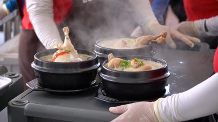 '인삼·약초의 고장' 금산서 초복 삼계탕 / YTN