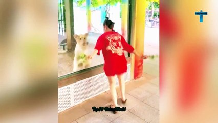 MOMENTS YOU WON'T BELIEVE IF THEY WEREN'T RECORDED #3