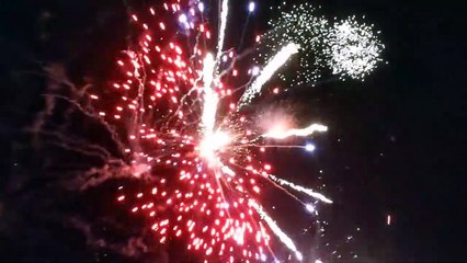 Niño de 7 años y su hermana de 24 mueren durante fuegos artificiales en fiesta de Francia