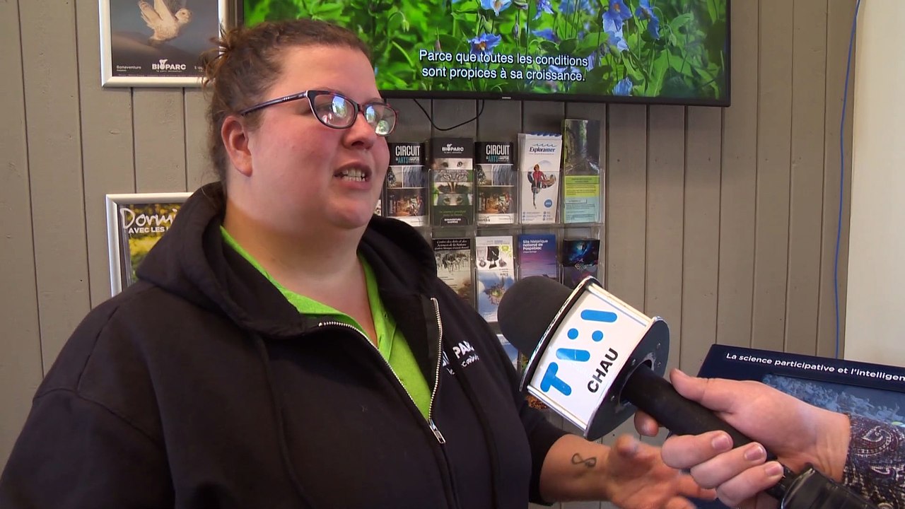 Les fous de Bassan suivis par GPS