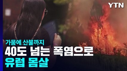 40도 넘는 기록적인 폭염으로 유럽 몸살...가뭄에 산불까지 / YTN