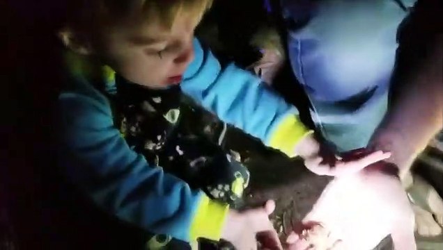 Bébés et enfants drôles animés par des animaux