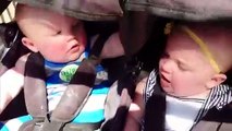 Les bébés mignons jumeaux s'amusent échouent et se détendent