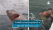 Hombre se salva de ser atacado por un tiburón