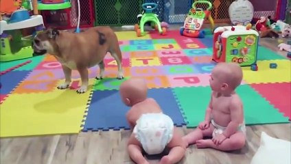 Le bonheur avec des bébés jumeaux
