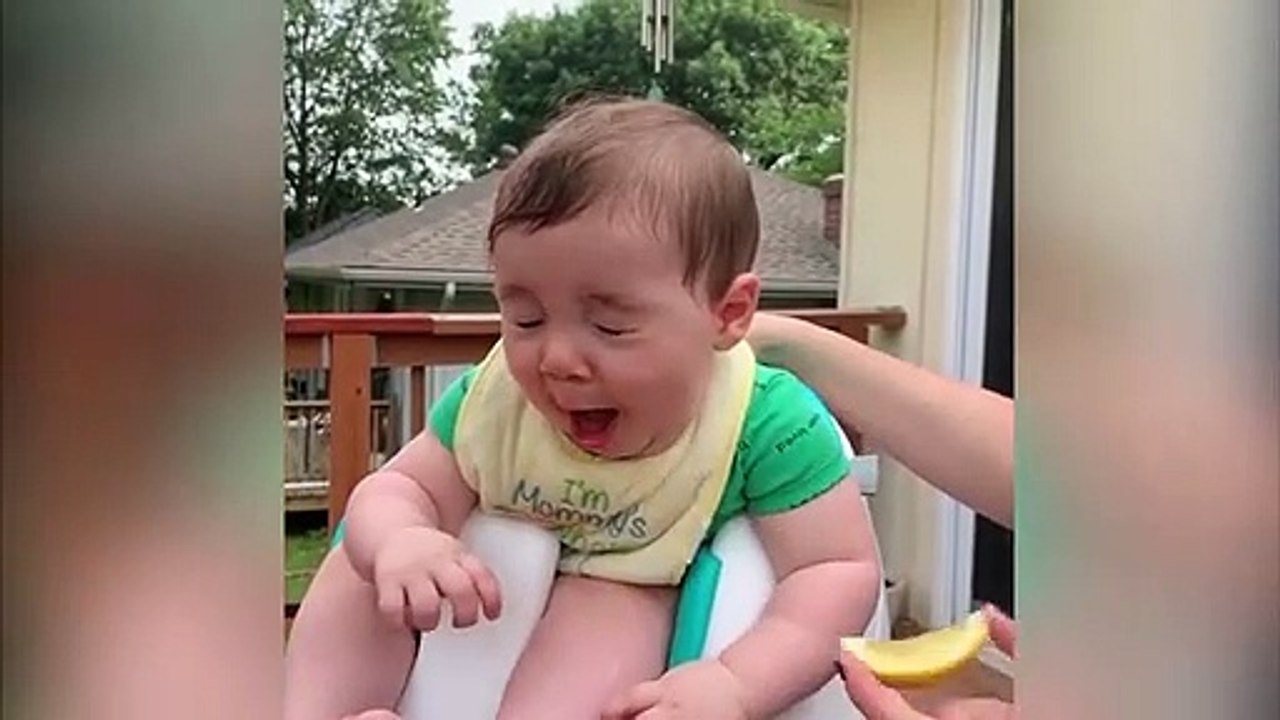 Des bébés mangent du citron pour la première fois