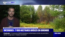 Incendies en Gironde: 7850 hectares brûlés et une situation qui reste préoccupante