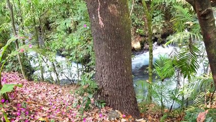 La belleza de Uruapan, Michoacán | Conexión Milenio