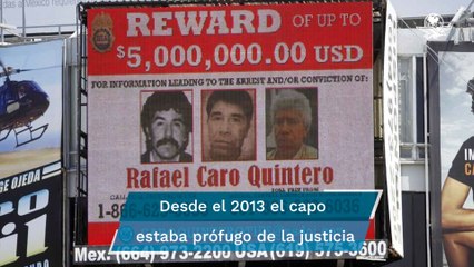 ¿Cuál era la recompensa que ofrecía la DEA por Caro Quintero?