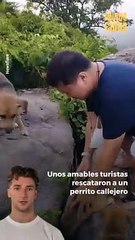 Este #perrito se encontraba en apuros, pero unos #turistas llegaron para ayudarlo