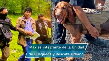 Max, el perro que encontró a Caro Quintero para su detención