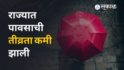 Download Video: Rain Intensity । पावसाची बहुतांश भागात उघडीप ! | Sakal Media