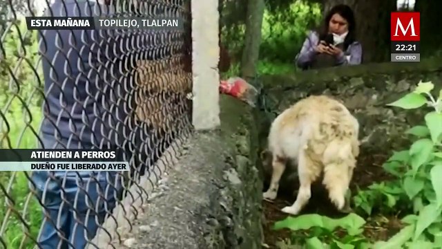 Ingresan a predio de balacera en Topilejo para rescatar a perritos atrapados
