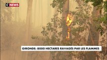 Gironde : 8000 hectares ravagés par les flammes