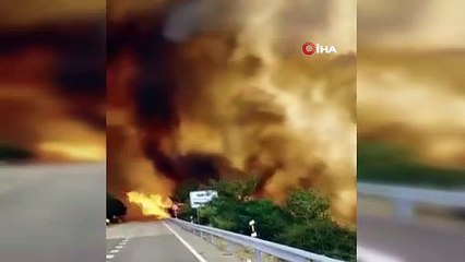 İspanya'da orman yangını: 2 bin 300 kişi tahliye edildi