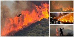 La ola de calor calcina España: deja ya 84 muertes y a seis comunidades afectadas por el fuego