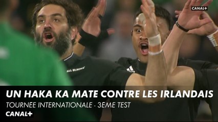 Le Haka "Ka Mate" pour le 3ème test des All Blacks contre l'Irlande - Tournée Internationale