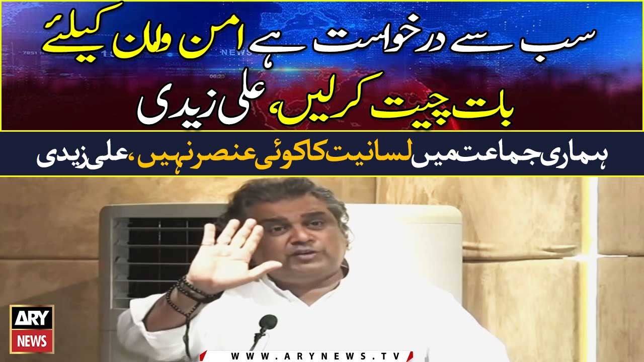 There is nothing like linguistics in our party says, Ali Zaidi