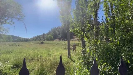 Akseki'de kayıp kadını arama çalışmaları sürüyor