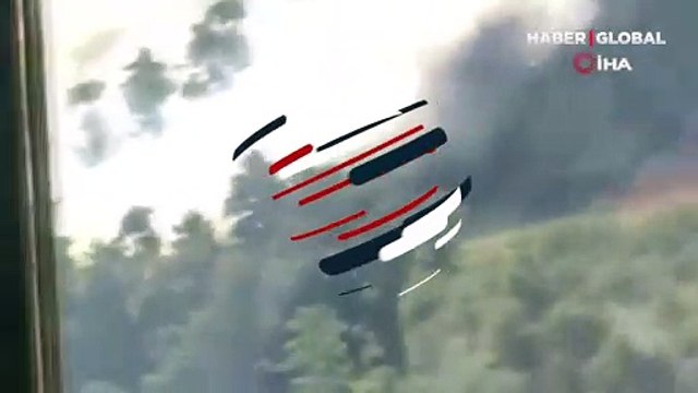 Manisa'nın Akhisar ilçesinde orman yangını