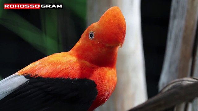 পৃথিবীর সবচেয়ে রহস্যময় স্থান । Amazon । পর্ব ৫