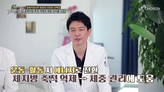 체지방 축적을 억제해 체중 감량에도 도움 주는 효자템 TV CHOSUN 20220716 방송