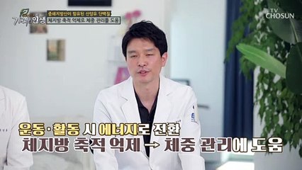 체지방 축적을 억제해 체중 감량에도 도움 주는 효자템 TV CHOSUN 20220716 방송