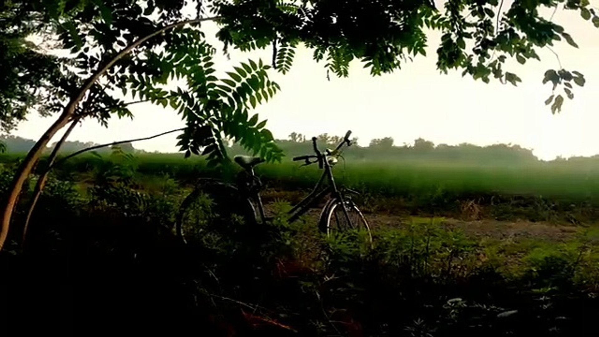 Sleep Music | Rain Sounds | Relaxing Music | Meditation Music