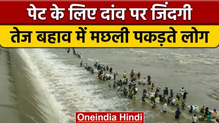 Maharashtra flood: Chandrapur में जान जोखिम में डाल मछली पकड़ते दिखे लोग | वनइंडिया हिंदी |*News