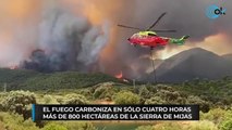 El fuego carboniza en sólo cuatro horas más de 800 hectáreas de la sierra de Mijas