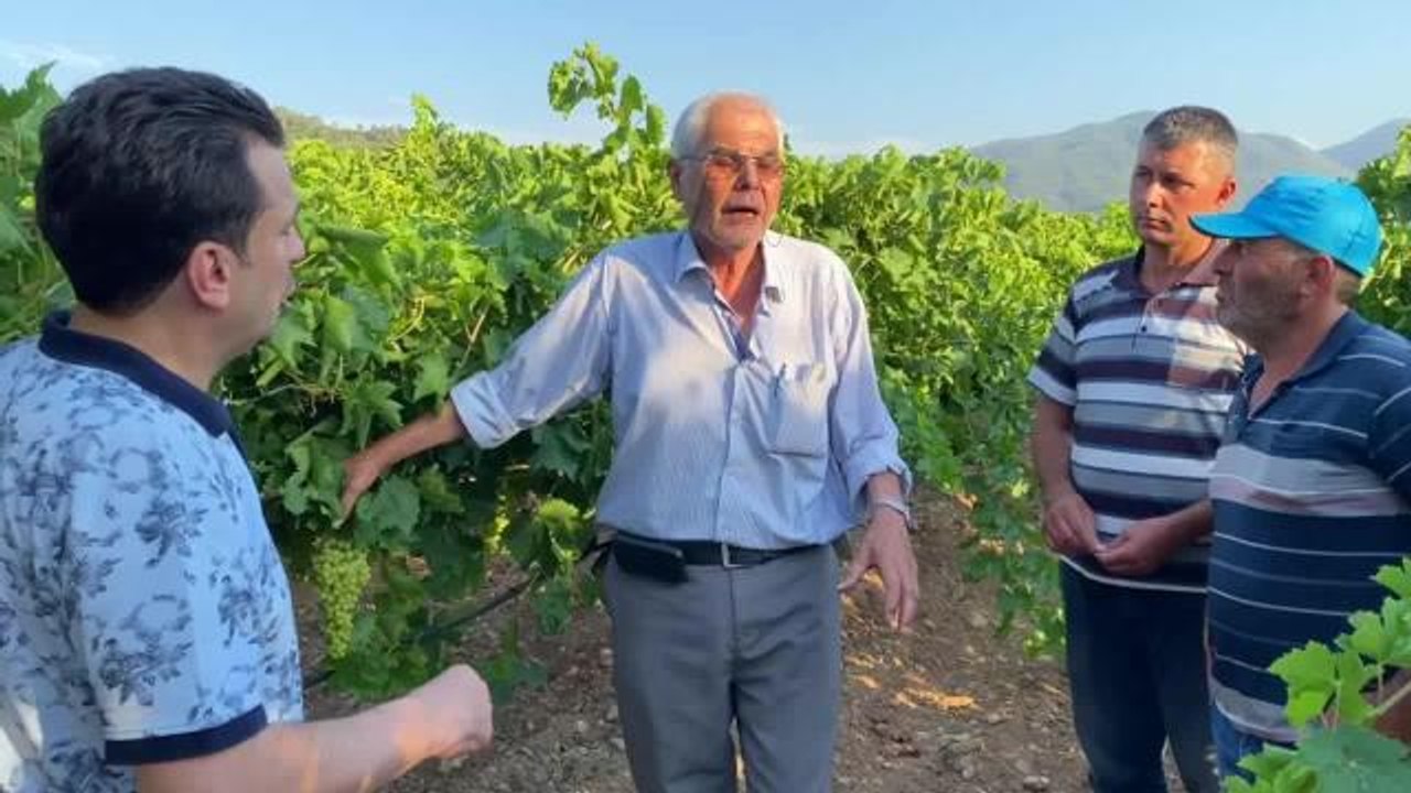 Manisalı Üzüm Üreticisi: Bu Sene 25 Liranın Altında Üzüm Olmaması Gerekir. Yoksa Vallahi Bu Çiftçilik Olmaz, Yapamayız