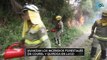 Avanzan los incendios forestales de Courel y Quiroga en Lugo