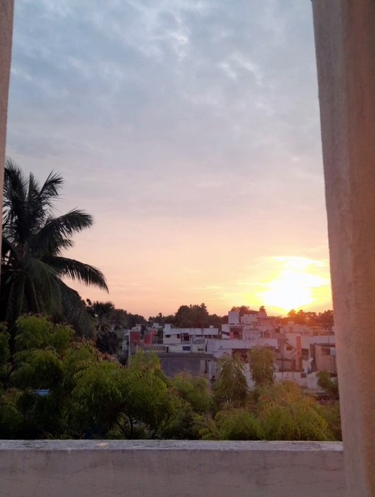 Beautiful sunset moment video with beautiful background music | a beautiful background music  with nature video | a amazing video status