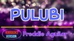 Pulubi - Freddie Aguilar | Karaoke Version |HQ