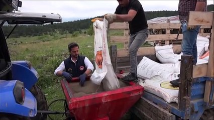 Meralarda yürütülen ıslah çalışmaları ot verim ve kalitesini artırdı