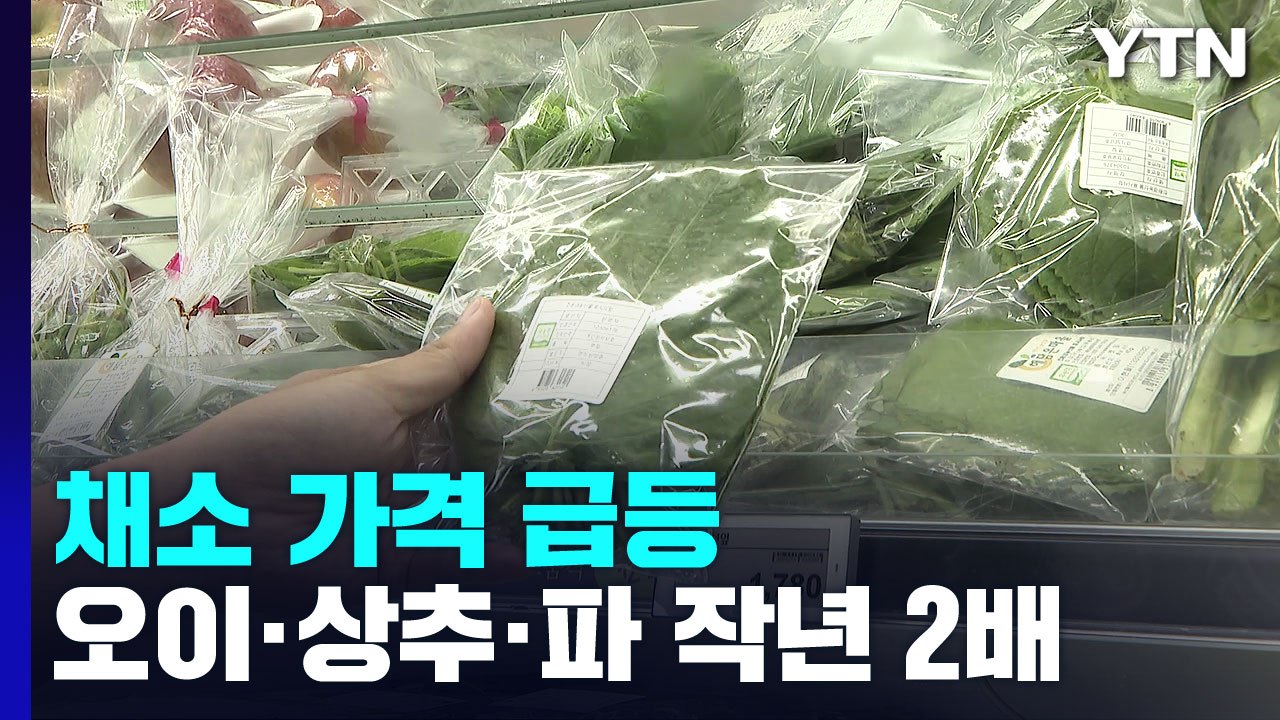 상추·오이 등 채소 가격 작년의 2배...밥상물가 부담 증가 / YTN