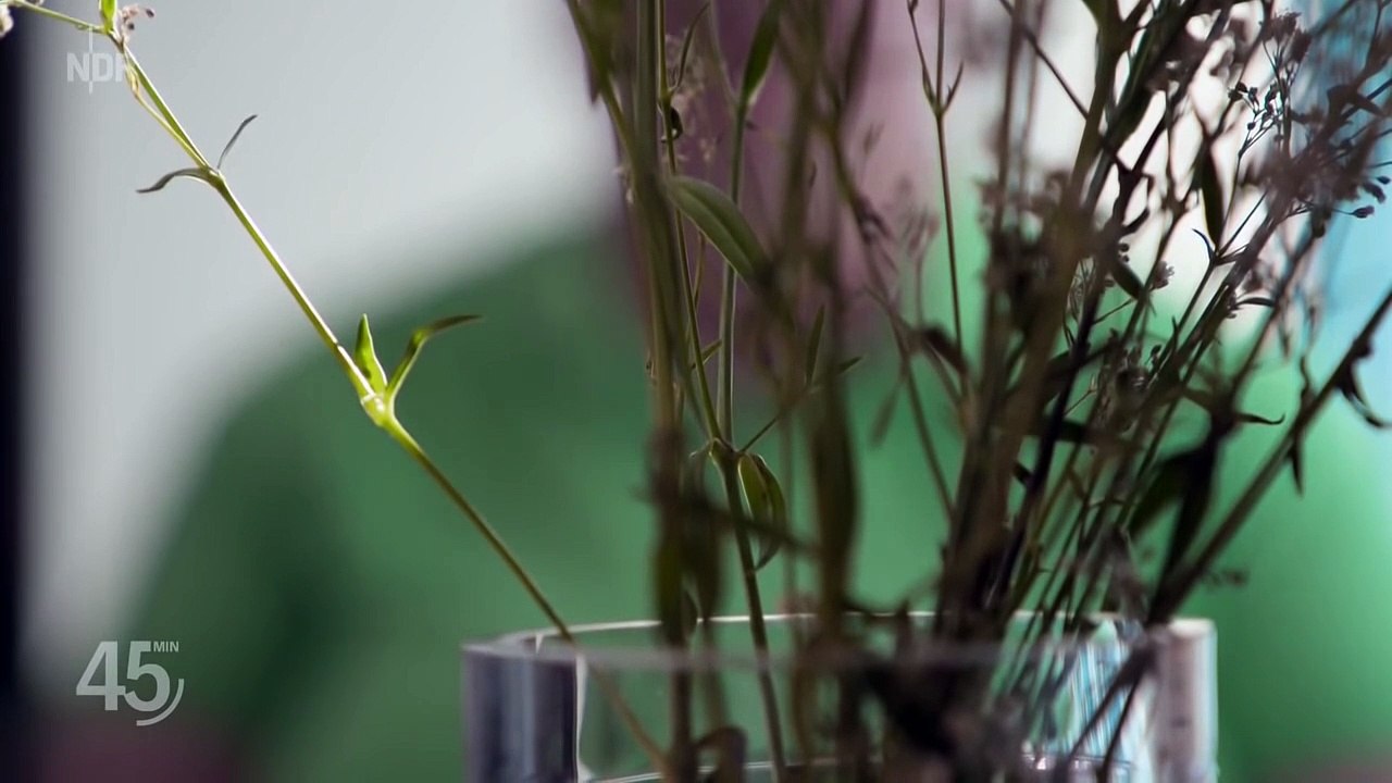 Gewalt gegen Frauen  Verliebt, verlobt, verprügelt