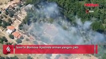 Son dakika | İzmir Bornova’da orman yangını