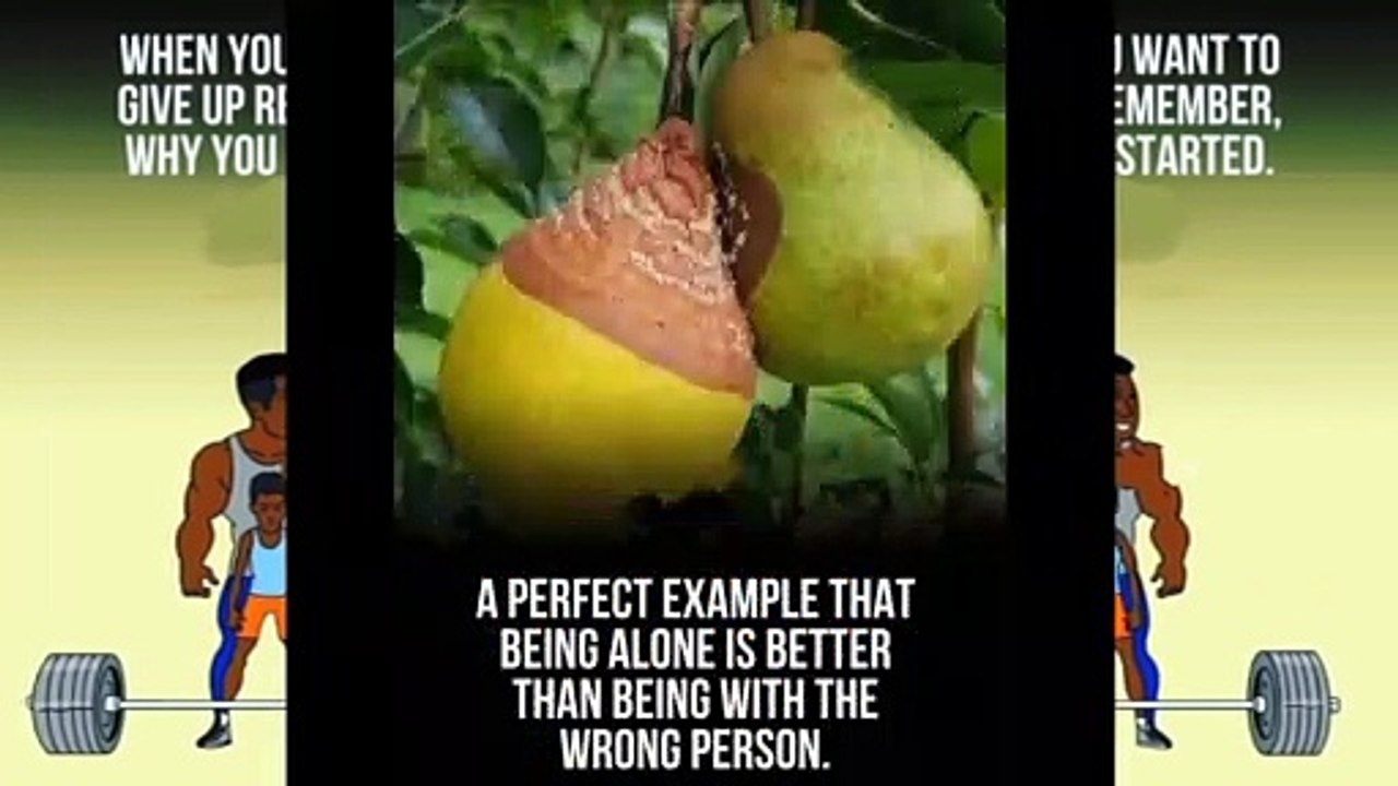 Deep Meaning Pictures Best Pictures with Deep Meaning