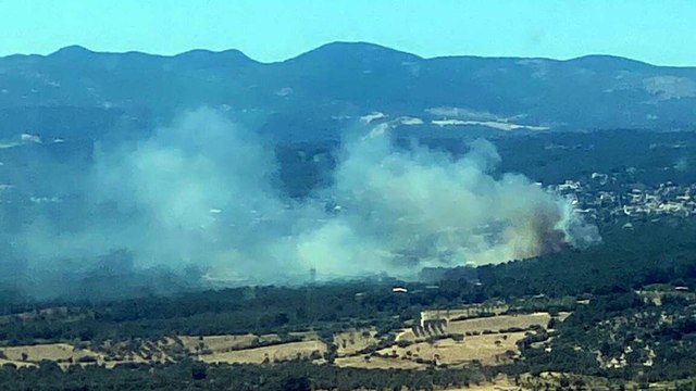 Bornova’da orman yangını: Havadan ve karadan müdahale
