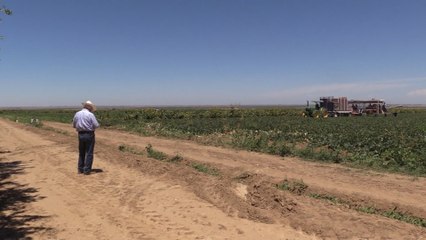 Crisis climática en California afecta a miles de hectáreas sin plantar