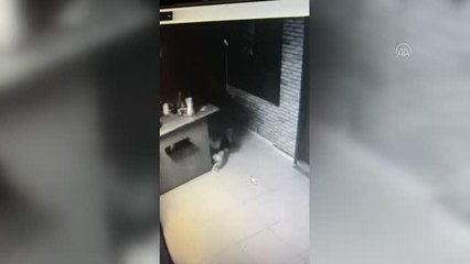 Son dakika haber | Kafeden kasa çalan hırsız kaçarken kameraya yakalandı