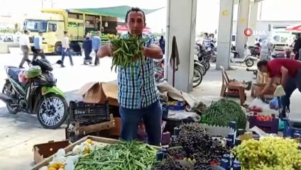 Hasadı yapılan fasulye tezgahlardaki yerini almaya başladı