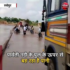 श्योपुर : भारी के चलते उफान पर हैं नदी-नाले