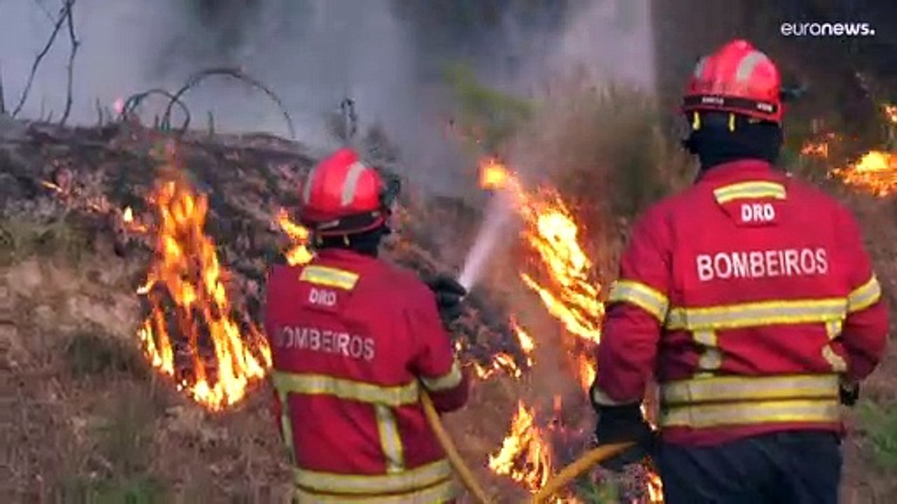 Bibione: Verzweifelte Touristen fliehen vor den Flammen ins Meer