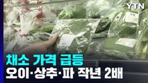 상추·오이 등 채소 가격 작년의 2배...밥상물가 부담 증가 / YTN