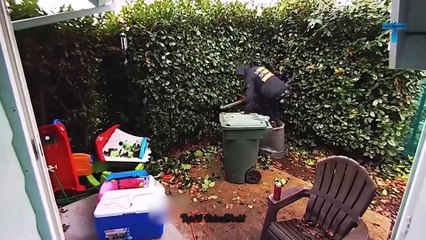 LIFE'S UNEXPECTED MOMENTS WHEN THINGS WENT WRONG! #4