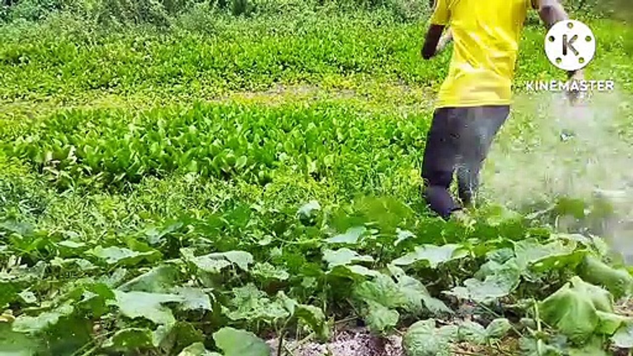 My first adventure video #vlog #sukdeb's vlog, Mera block video aane wala hai adventure wala